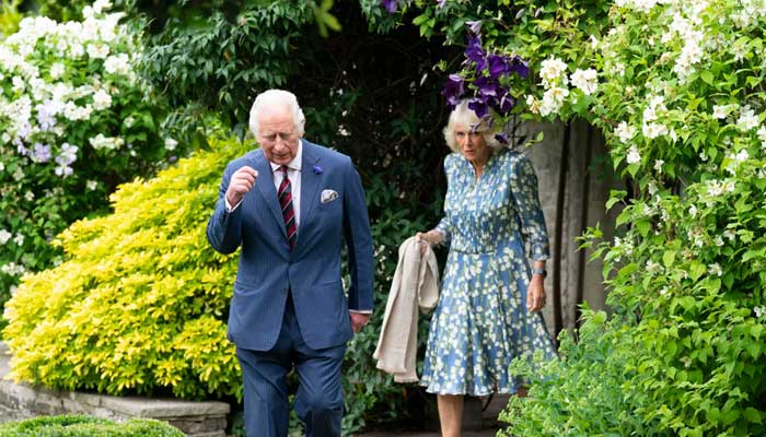 Buckingham Palace shares kids heartfelt appeal to King Charles