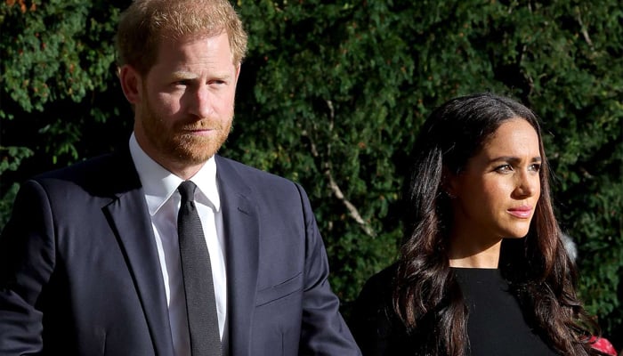 Meghan Markle, Prince Harry’s ‘bizarre’ perception of royal family slammed