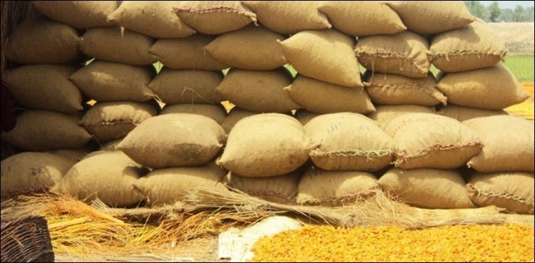 Pakistan spends one billion US$ on wheat import this year