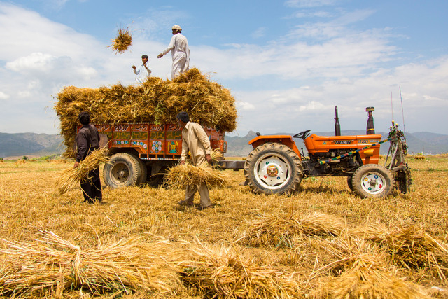 Kissan ittehad threatens protest in capital over wheat prices and rising input costs