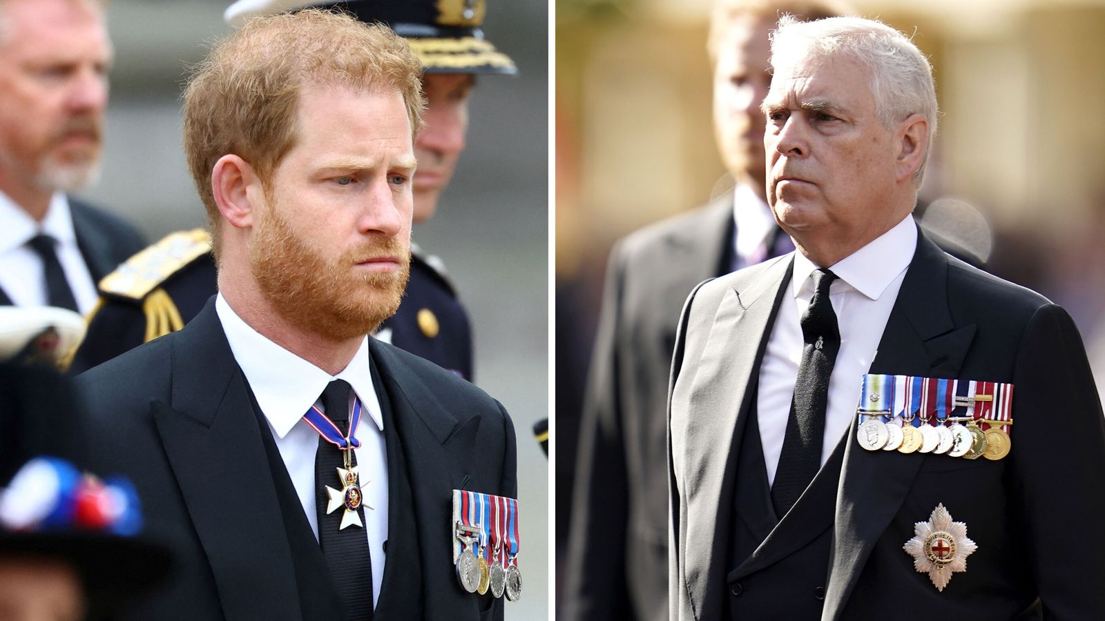 Prince Harry And Andrew Receive Some Good News From Buckingham Palace