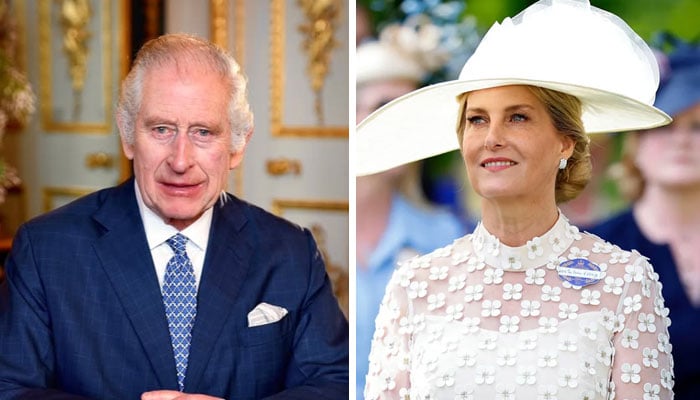 King Charles to give Duchess Sophie good news: ‘recognition she deserves’