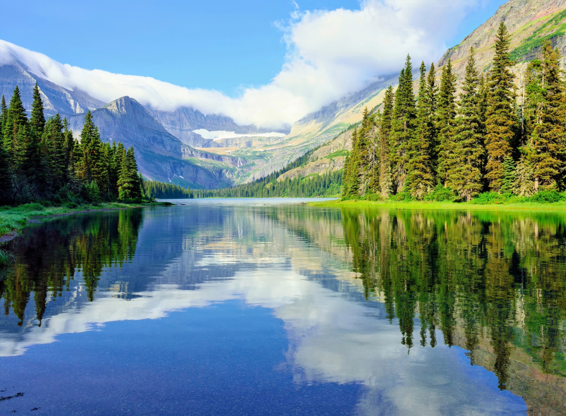 Frozen forest reveals climate impacts on alpine ecosystems