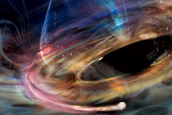 Black hole births jets, hosts white dwarf while astronomers watch