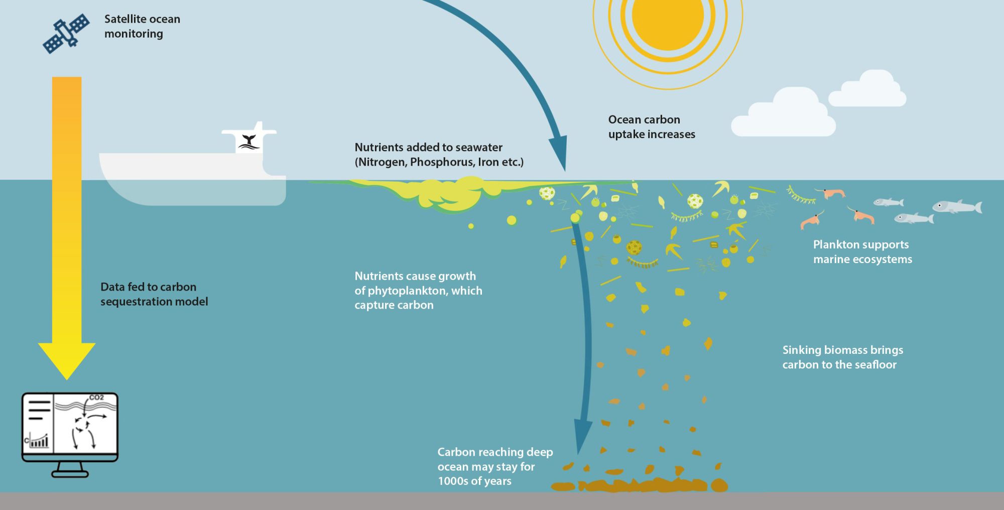 Ocean nourishment sequestering carbon dioxide in the deep ocean