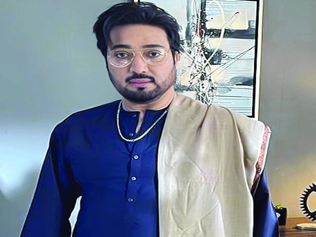 Saud blames Shaan, Syed Noor for Lollywood’s decline