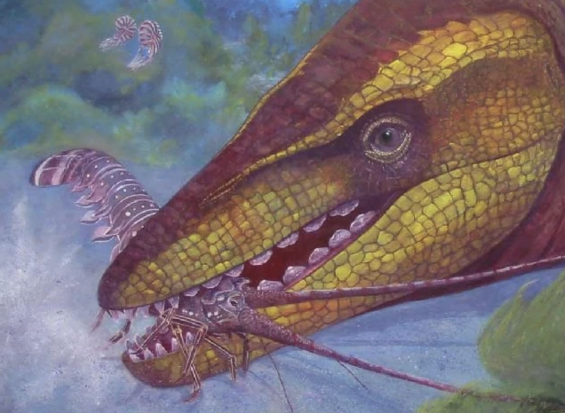 Discovery of an Ancient Marine Reptile with Unique Keel-shaped Teeth in Morocco – Morocco World News