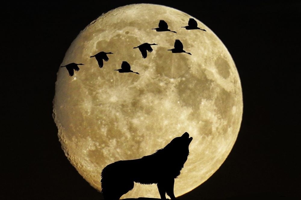 Wolf Moon to light up skies in North America tonight