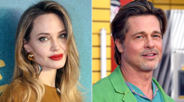 Brad Pitt accuses Angelina Jolie of using winery sale to ‘punish’ actor