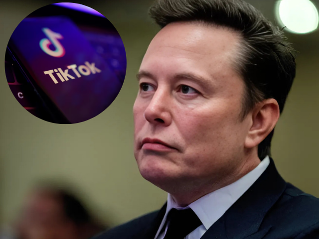 TikTok denies reports of potential sale to Musk, calling them pure fiction.