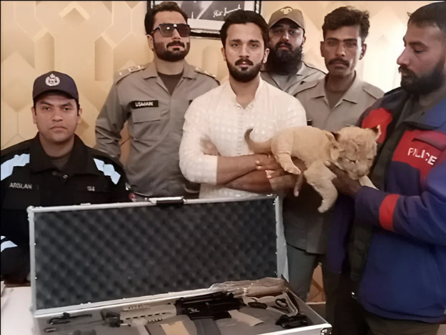 TikTok star Rija Bhat sentenced to community service for keeping lion cub