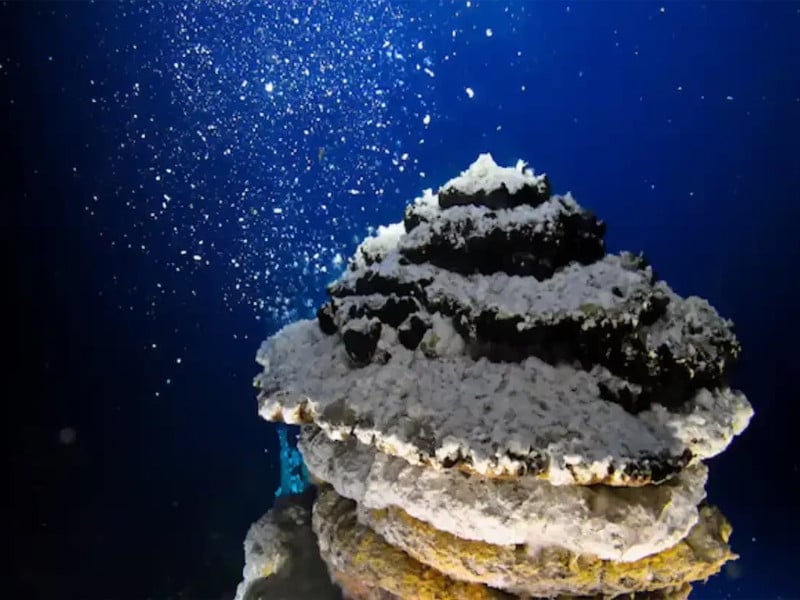 A deep-sea discovery that has split scientists