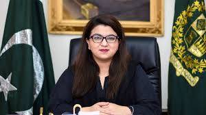 IT, data role vital for sustainable development: Shaza Fatima