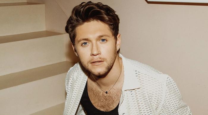 Niall Horan confirms new music