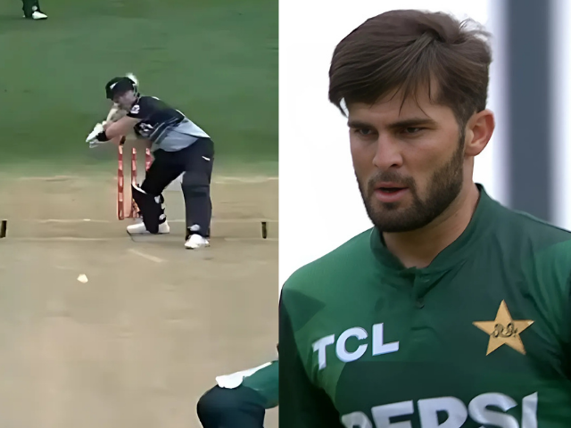 Tim Seifert slams Shaheen Afridi for 4 huge sixes in one over