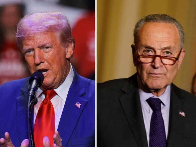 Trump criticised for using ‘Palestinian’ as insult to Schumer