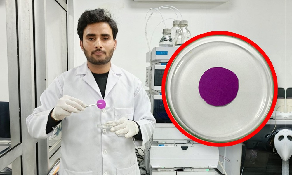 Pakistani scientists develop low-cost java plum sensor to detect spoiled milk