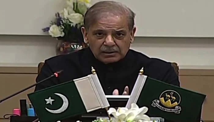 PM Shehbaz calls for joint efforts to end terrorism in Balochistan, K-P