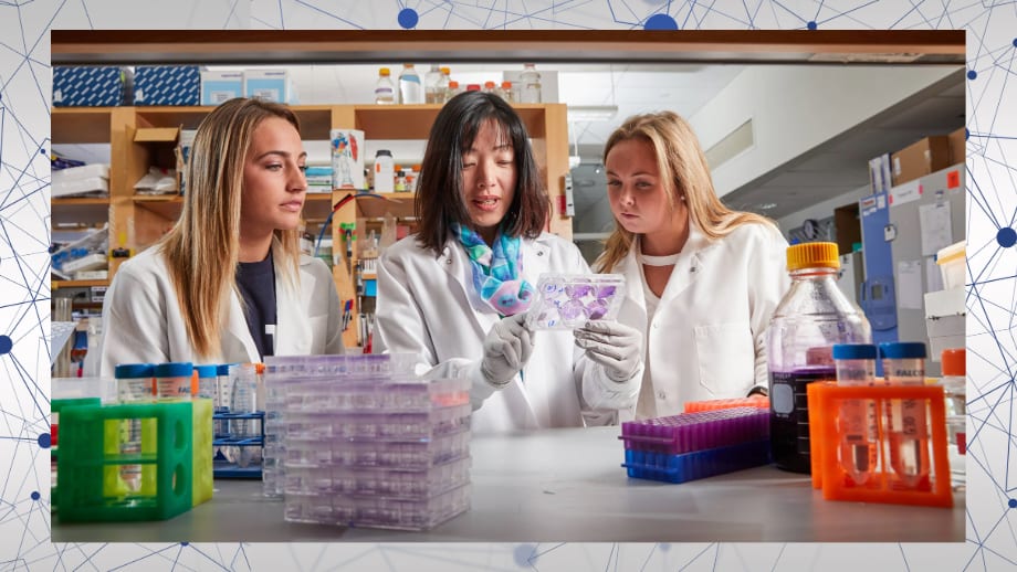 Biomedical Research Saves Human Lives < Yale School of Medicine