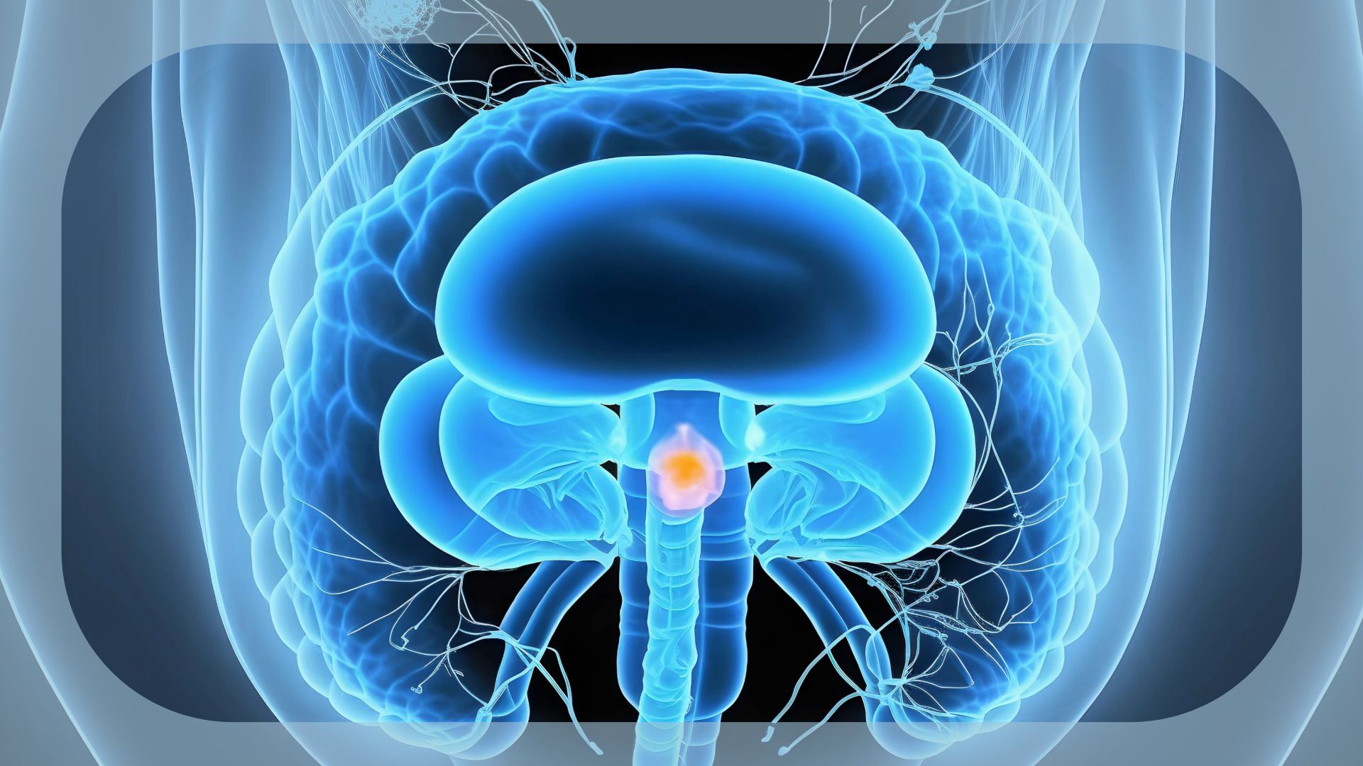 Zelenectide Pevedotin Plus Pembrolizumab Is Safe and Active in Treatment-Naive, Cisplatin-Ineligible Advanced Urothelial Cancer