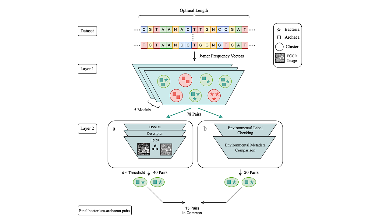 Life At The Extremes: Maximally Divergent Microbes With Similar Genomic Signatures Linked To Extreme Environments