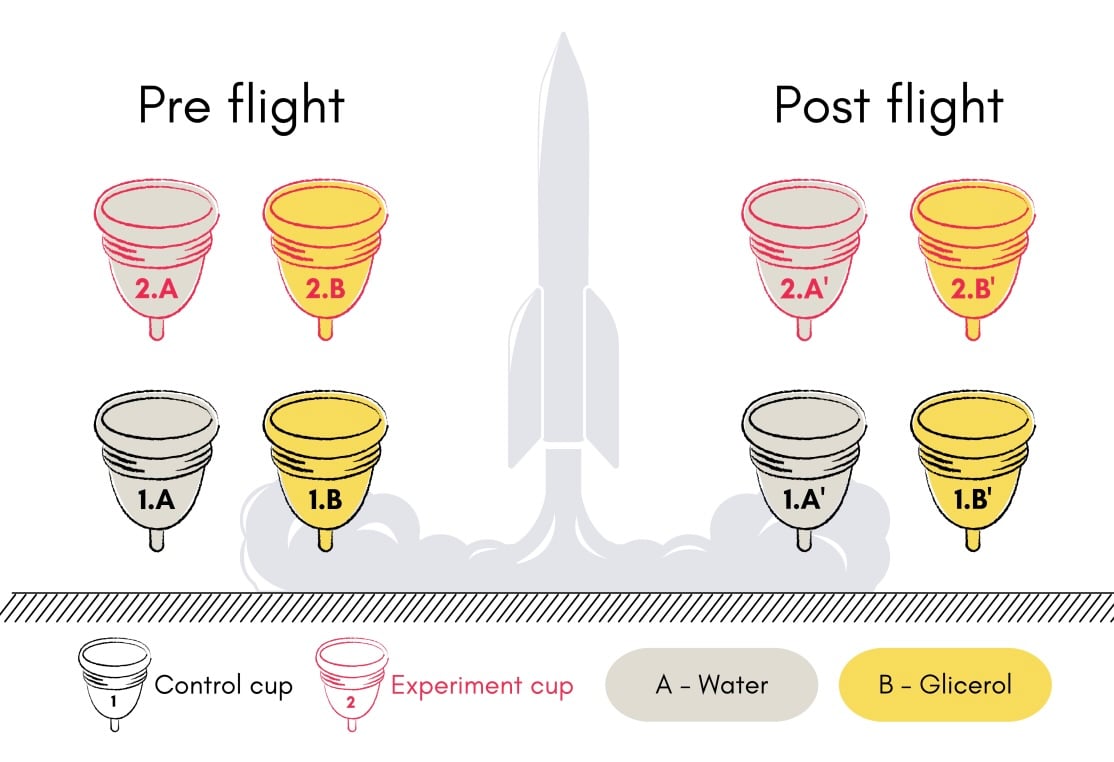 Menstrual Cups Tested in Space Flight Conditions for the First Time