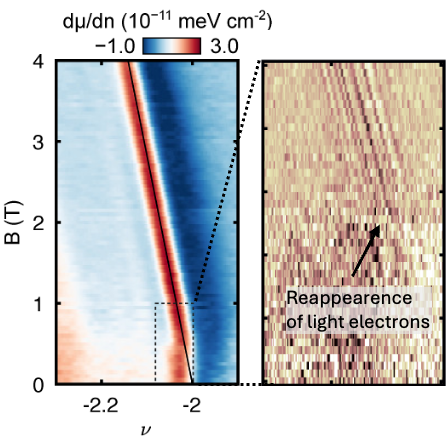 Light and Heavy Electrons Cooperate in Magic-Angle Superconductors — Harvard Gazette