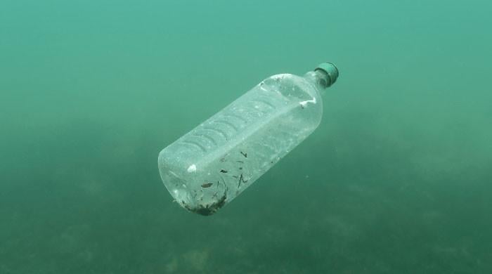 Punjab to pay citizens for returning plastic bottles