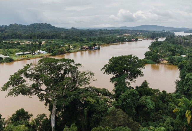 The path to malaria elimination in Suriname – PAHO/WHO