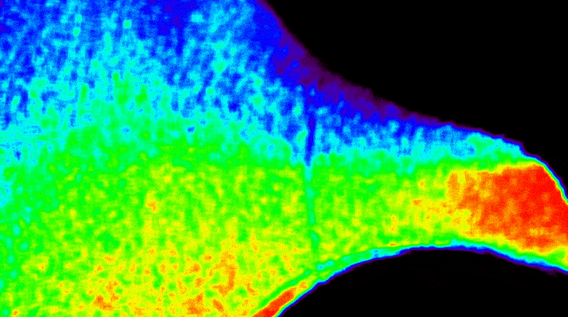 ‘Never been seen before’: First images from new ISS solar telescope reveal subtle ‘fluctuations’ in sun’s outer atmosphere