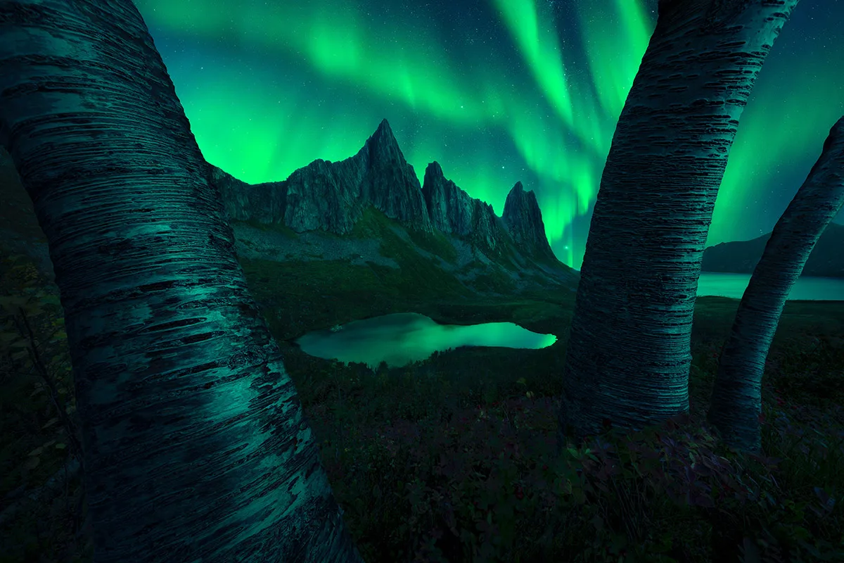 Kongen © Filip Hrebenda. Taken with a Sony Alpha 7R V camera, 12 mm f/2.8 (with focus stacking for foreground), ISO 4,000, 2-second exposure. Location: Stavelitippen, Fjordgård, Norway, 12 September 2024