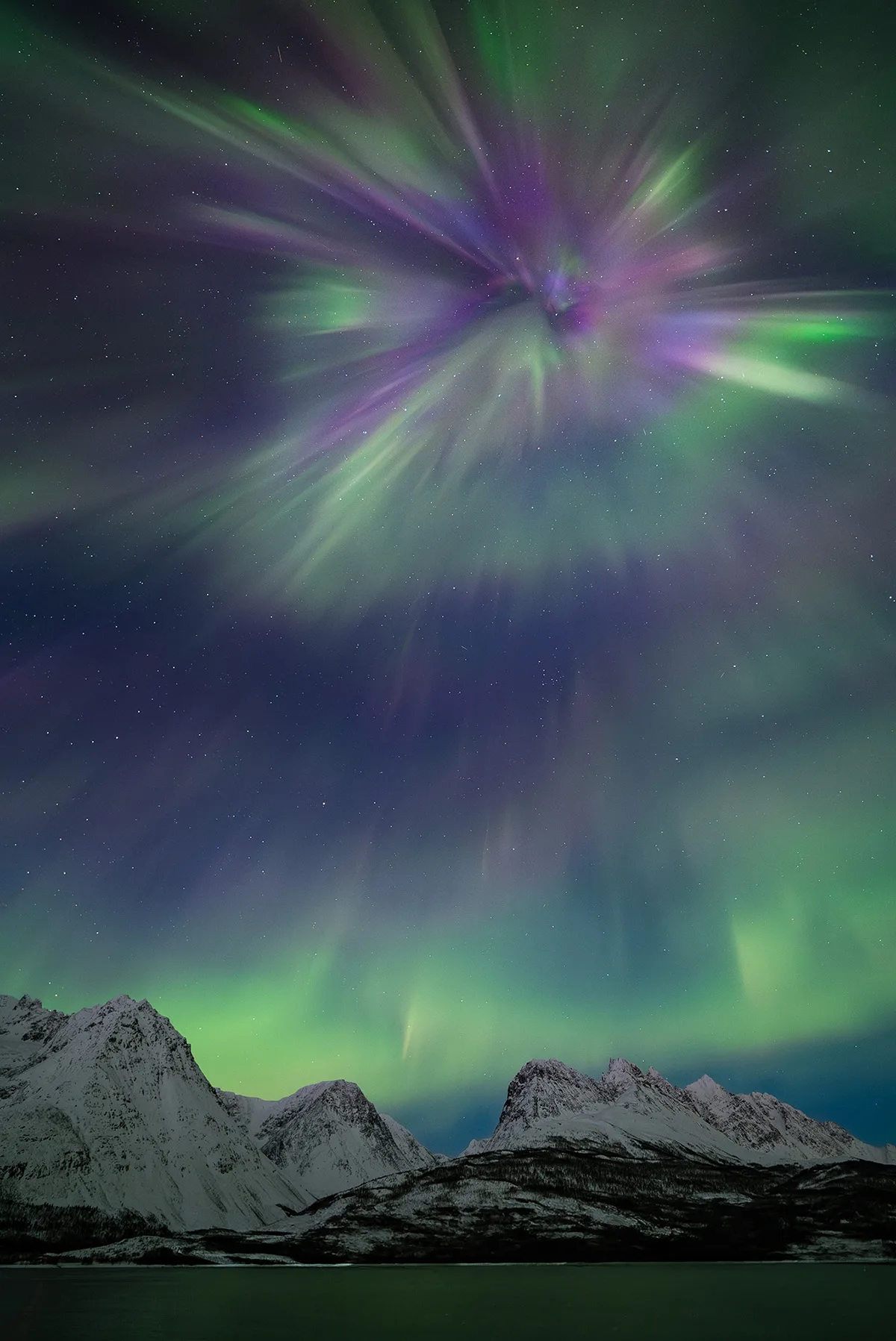 The Arctic Flower © Vincent Beudez. Taken with a Sony Alpha 7S III camera, 14 mm f/1.8, ISO 4,000, 1.3-second exposure. Location: Sjursnes, Tromsø, Troms, Norway, 4 April 2024
