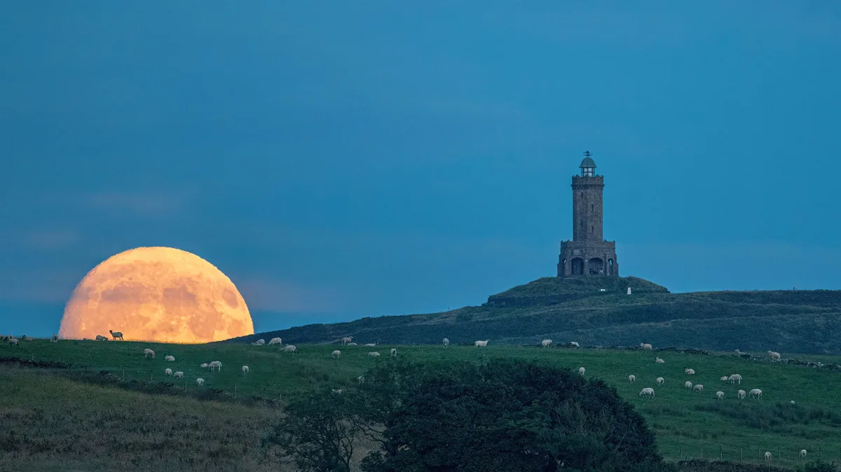 The 2024 Buck Moon by Lee Mansfield, Darwen, Lancashire, 20 July 2024. A low-down Moon often looks enormous. This is known as the 'Moon illusion'.