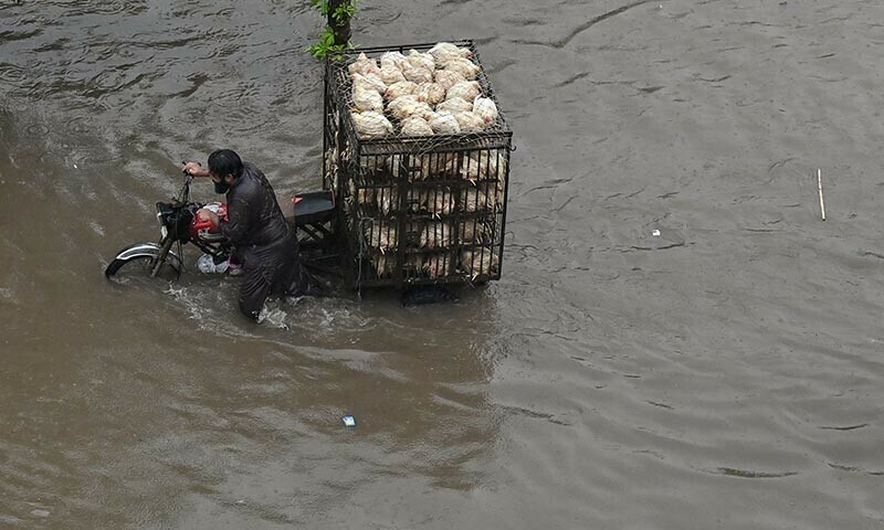 5 dead in Lahore; more rain forecast till 17th – Pakistan