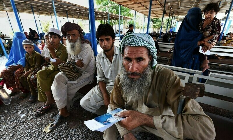 3 million Afghans could return this year: UN – World