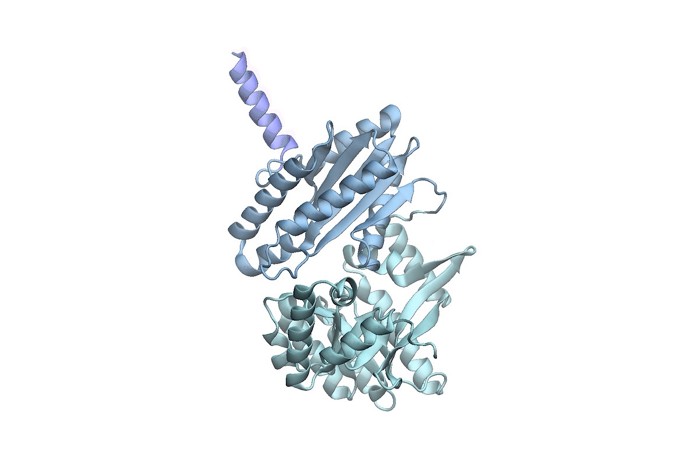 Microsoft AI predicts protein conformations