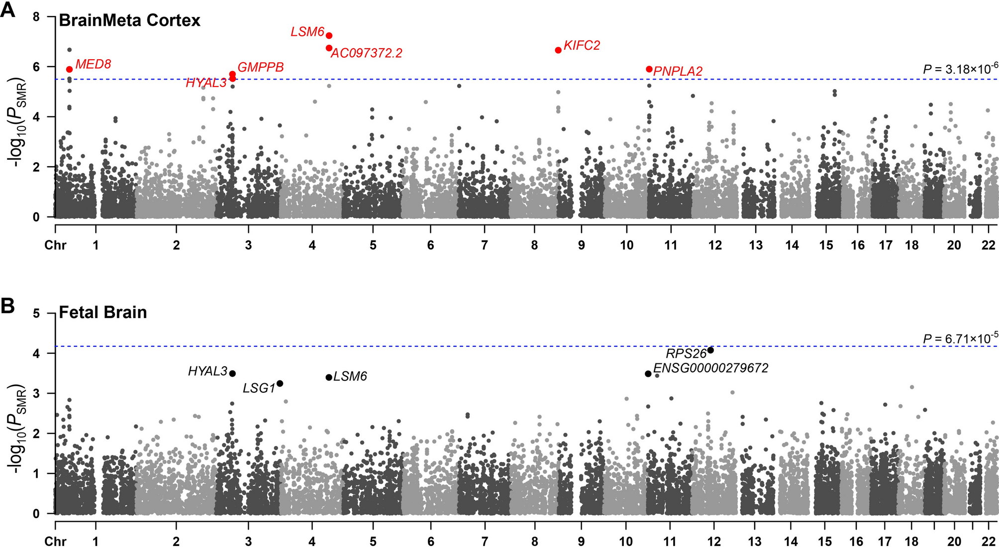 Integrative multi-omics data from early development to identify the genes and cell types underlying attention-deficit/hyperactivity disorder | BMC Psychiatry