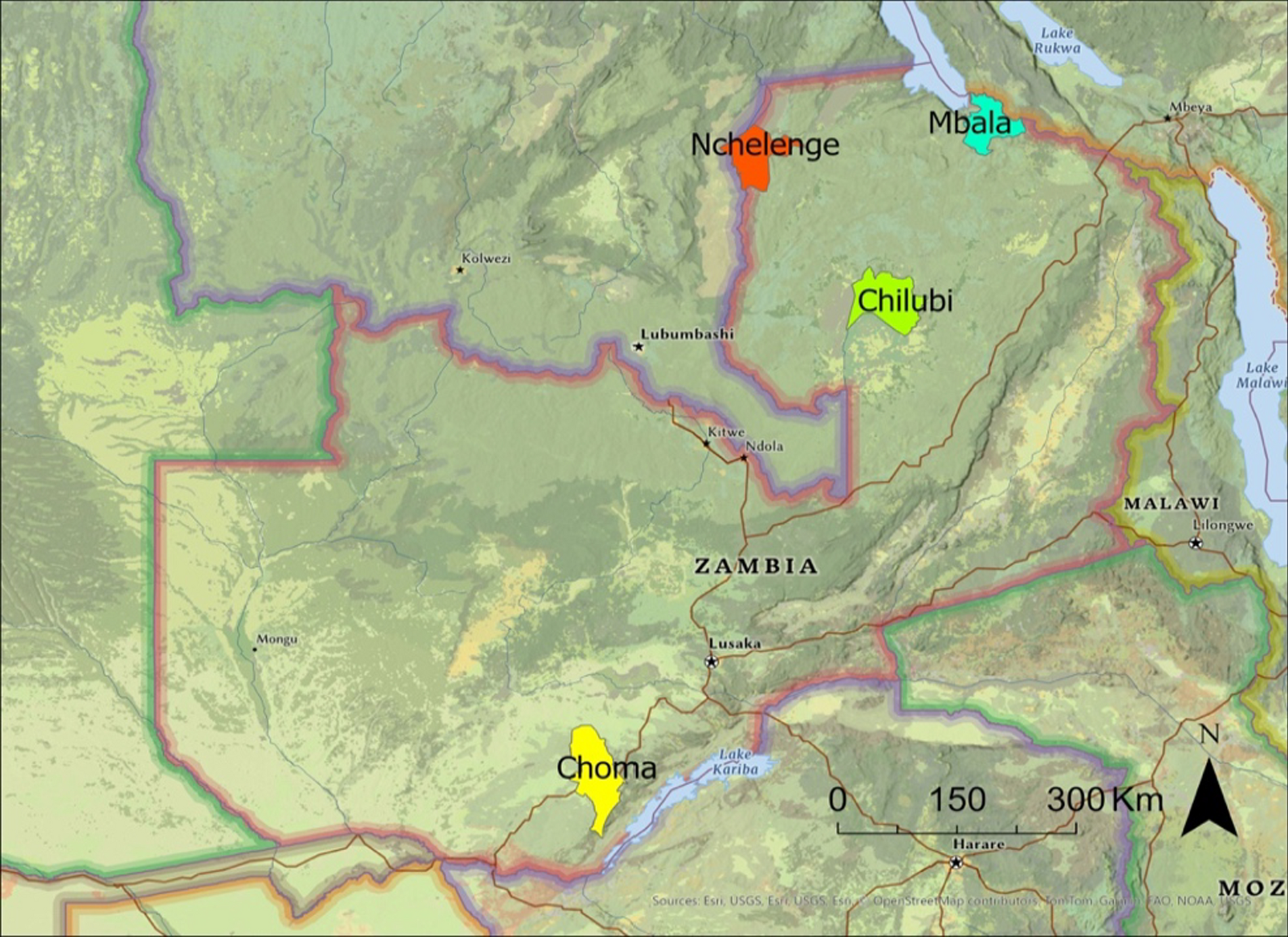 Phylogenetic taxonomy of the Zambian Anopheles coustani group using a mitogenomics approach | Malaria Journal