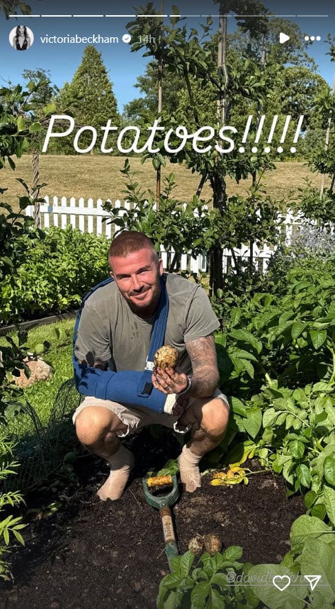 David Beckham finds comfort in new hobby amid recovery from surgery
