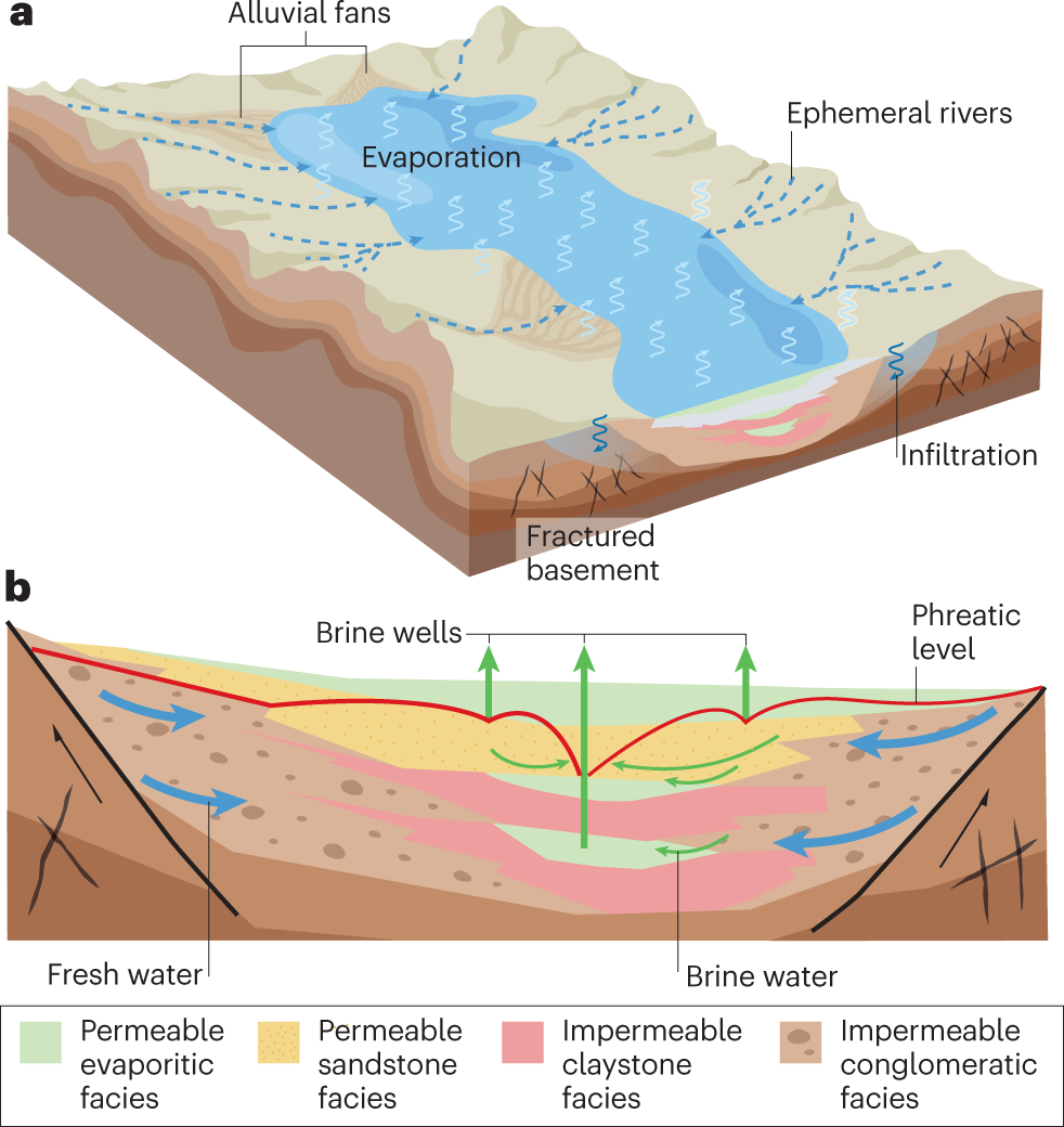 Lithium extraction process