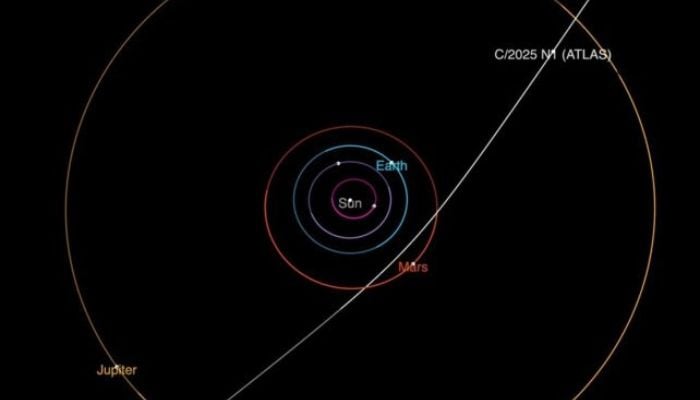 The largest Interstellar object found in the solar system could be an alien probe