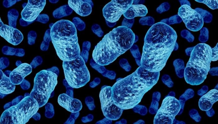 AI accelerates breakthroughs in long Covid, fatigue disorders