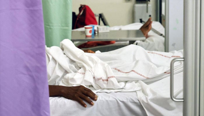 Preventive steps stressed to avert chikungunya outbreak