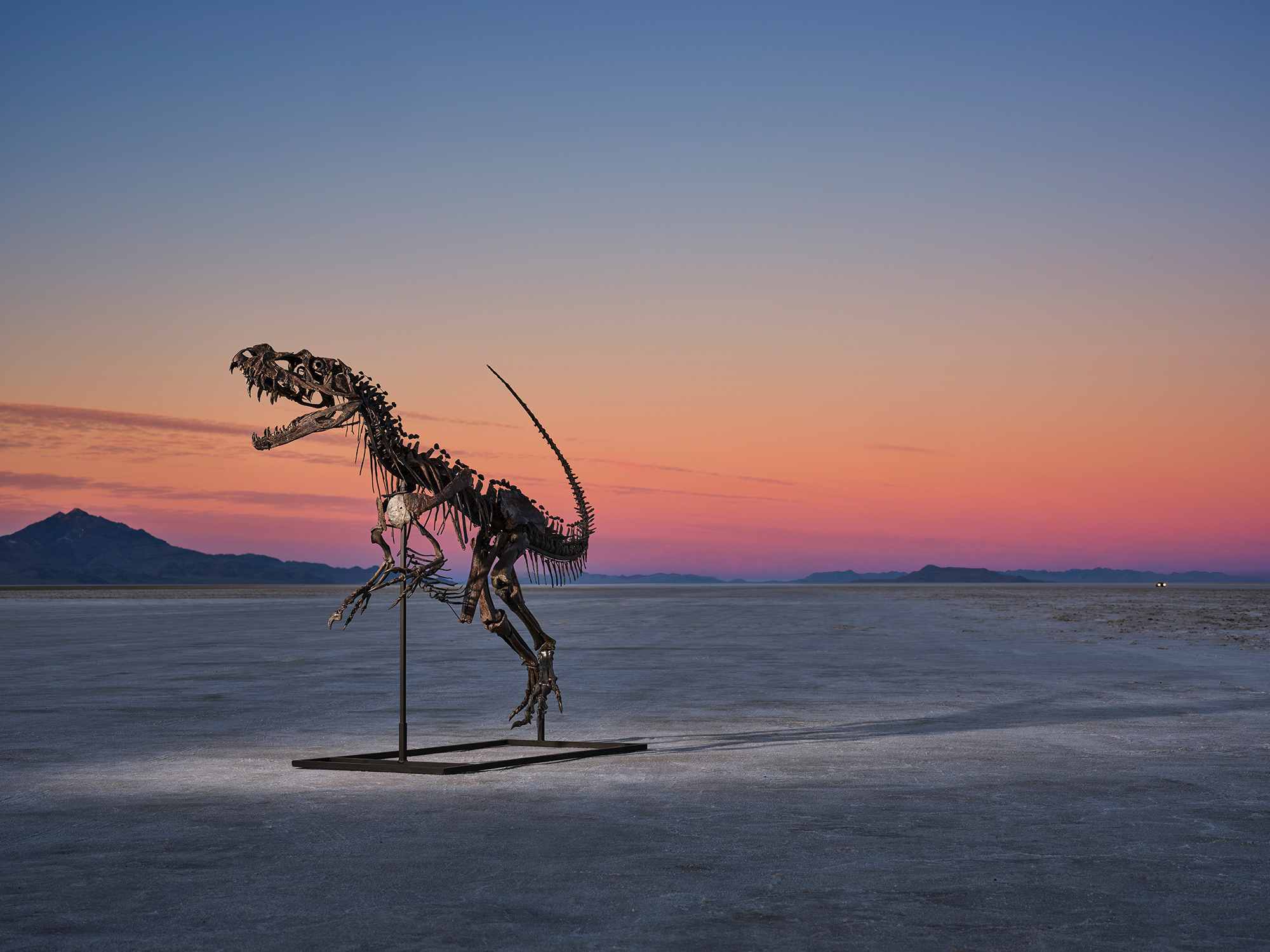 Sotheby’s Geek Week Returns With Dino Fossils and Mars Rocks