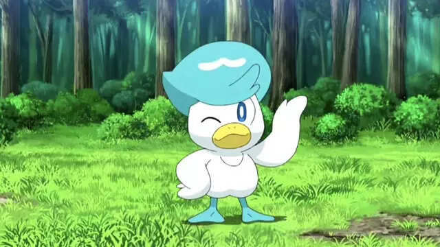 Quaxly in the anime