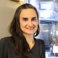 Laura Heiser, Ph.D., has short dark hair, black top, and is smiling at Knight Cancer Institute.