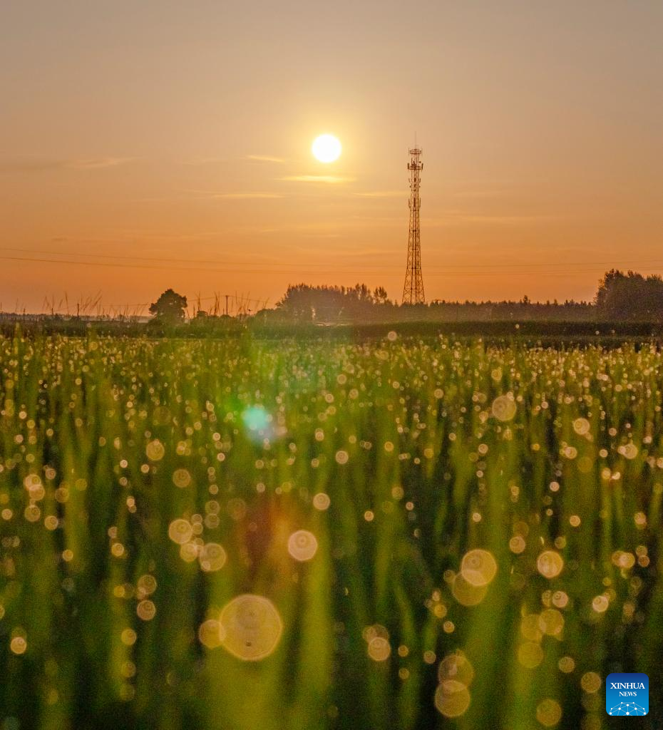 meet the farthest sun from earth-Xinhua