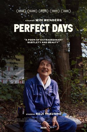 book cover for Perfect Days by 