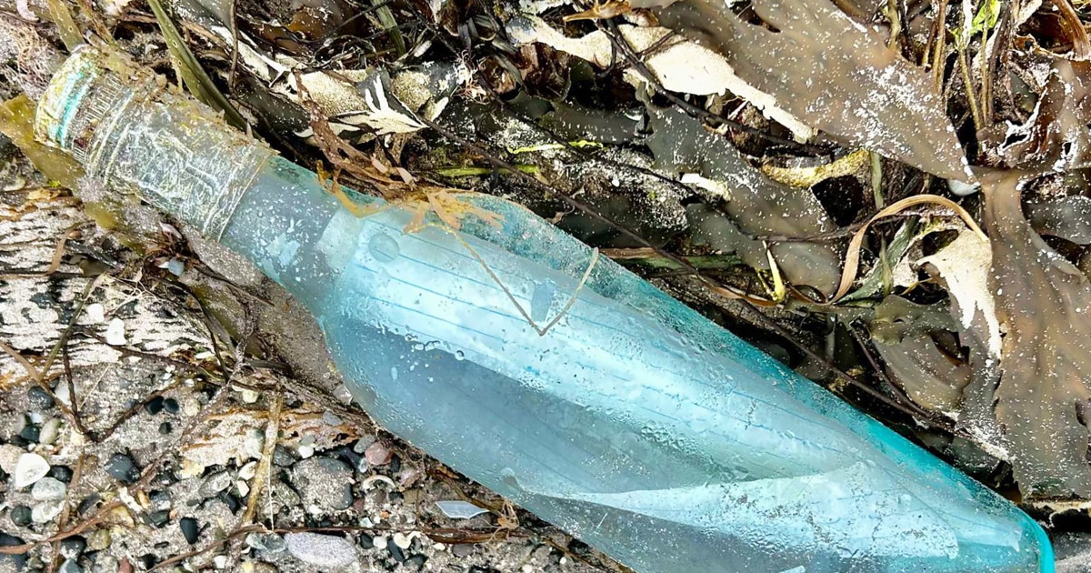Canadian lovers’ message in a bottle found 13 years later and 2,000 miles away
