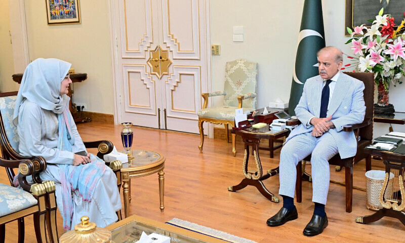 Govt to continue assisting in Dr Aafia Siddiqui’s case, PM Shehbaz assures her sister – Pakistan